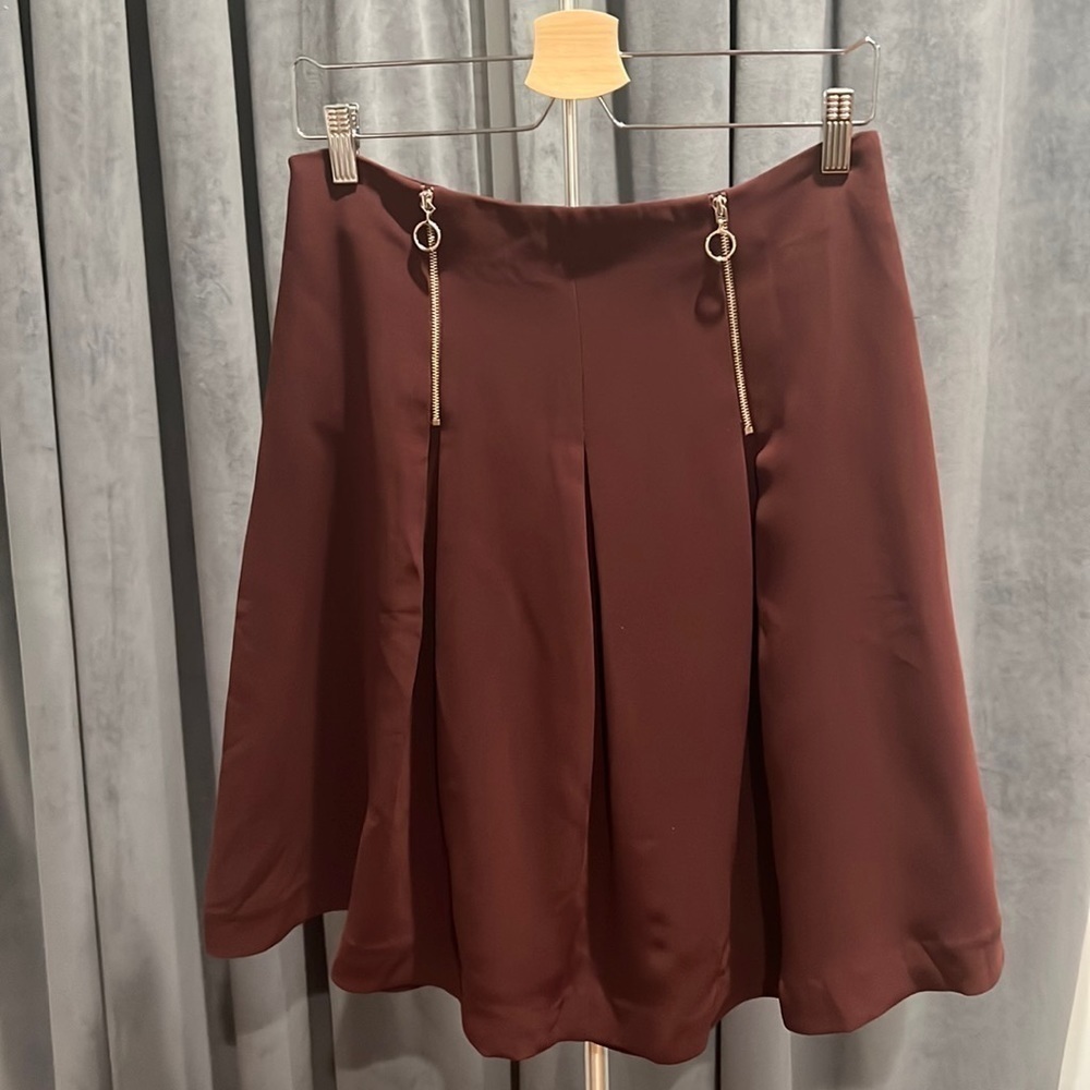 NWT Ann Taylor pleated skirt